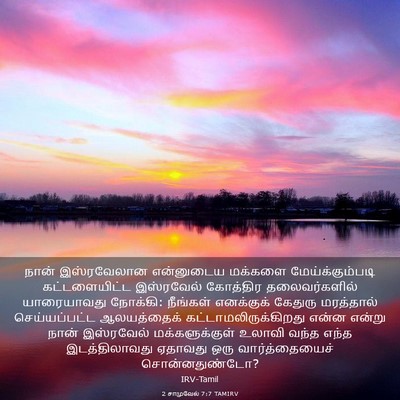 Picture 03 - 2 சாமுவேல் 7:7 TAMIRV - நான் இஸ்ரவேலான - Bible Verse Picture