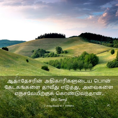 Picture 03 - 2 சாமுவேல் 8:7 TAMIRV - ஆதாதேசரின் - Bible Verse Picture