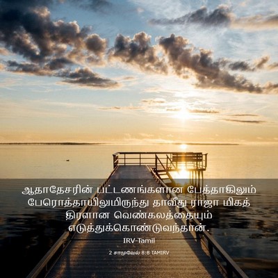Picture 03 - 2 சாமுவேல் 8:8 TAMIRV - ஆதாதேசரின் - Bible Verse Picture