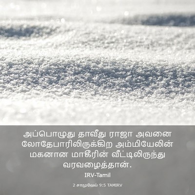 Picture 03 - 2 சாமுவேல் 9:5 TAMIRV - அப்பொழுது தாவீது - Bible Verse Picture