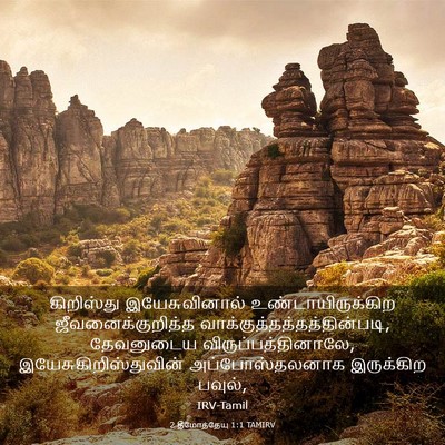 Picture 03 - 2 தீமோத்தேயு 1:1 TAMIRV - கிறிஸ்து - Bible Verse Picture