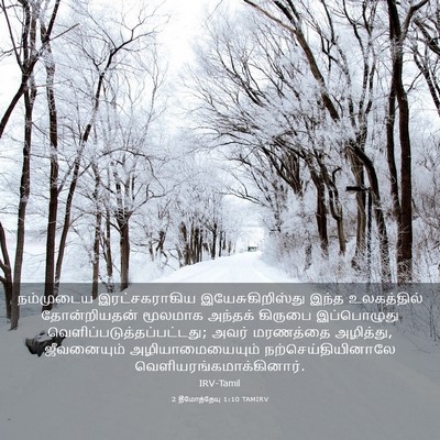 Picture 03 - 2 தீமோத்தேயு 1:10 TAMIRV - நம்முடைய - Bible Verse Picture