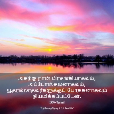 Picture 03 - 2 தீமோத்தேயு 1:11 TAMIRV - அதற்கு நான் - Bible Verse Picture