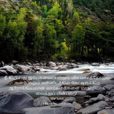 Picture 03 - 2 தீமோத்தேயு 1:13 TAMIRV - நீ கிறிஸ்து - Bible Verse Picture