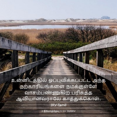 Picture 03 - 2 தீமோத்தேயு 1:14 TAMIRV - உன்னிடத்தில் - Bible Verse Picture