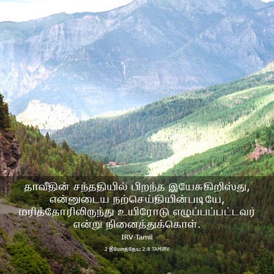 Picture 03 - 2 தீமோத்தேயு 2:8 TAMIRV - தாவீதின் - Bible Verse Picture