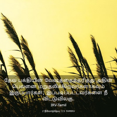 Picture 03 - 2 தீமோத்தேயு 3:5 TAMIRV - தேவ பக்தியின் - Bible Verse Picture