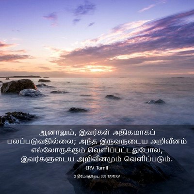 Picture 03 - 2 தீமோத்தேயு 3:9 TAMIRV - ஆனாலும், இவர்கள் - Bible Verse Picture