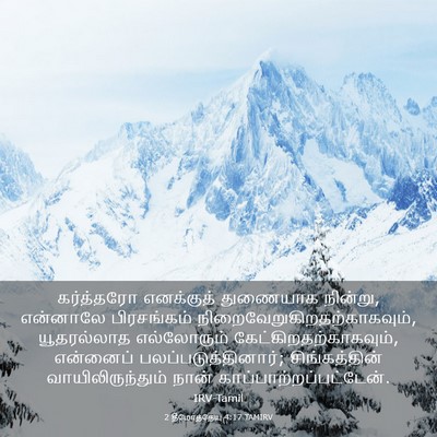 Picture 03 - 2 தீமோத்தேயு 4:17 TAMIRV - கர்த்தரோ எனக்குத் - Bible Verse Picture
