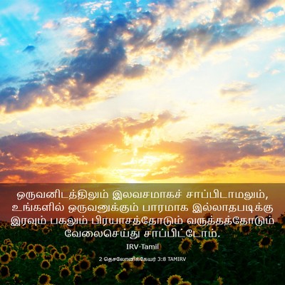 Picture 03 - 2 தெசலோனிக்கேயர் 3:8 TAMIRV - ஒருவனிடத்திலும் - Bible Verse Picture