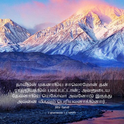 Picture 03 - 2 நாளாகமம் 1:1 TAMIRV - தாவீதின் மகனாகிய - Bible Verse Picture