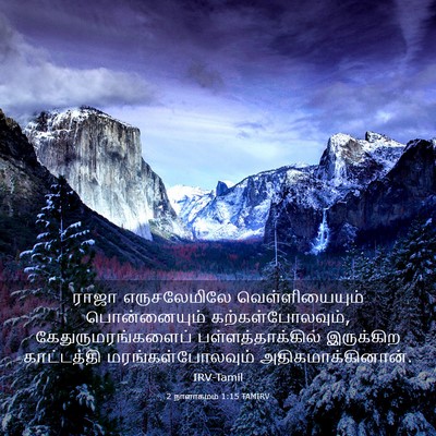 Picture 03 - 2 நாளாகமம் 1:15 TAMIRV - ராஜா எருசலேமிலே - Bible Verse Picture