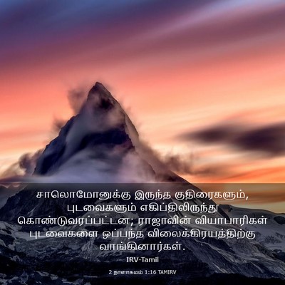 Picture 03 - 2 நாளாகமம் 1:16 TAMIRV - சாலொமோனுக்கு - Bible Verse Picture
