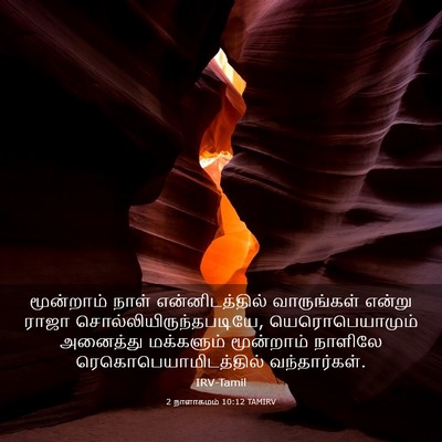 Picture 03 - 2 நாளாகமம் 10:12 TAMIRV - மூன்றாம் நாள் - Bible Verse Picture