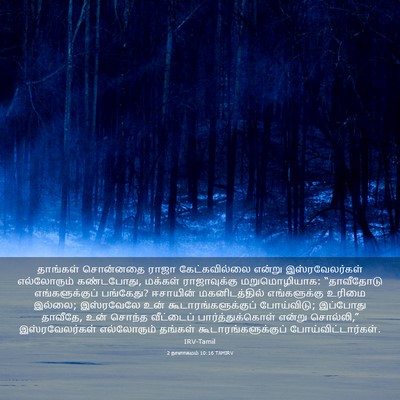 Picture 03 - 2 நாளாகமம் 10:16 TAMIRV - தாங்கள் சொன்னதை - Bible Verse Picture