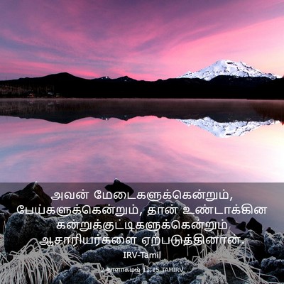 Picture 03 - 2 நாளாகமம் 11:15 TAMIRV - அவன் - Bible Verse Picture