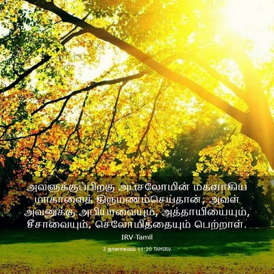 Picture 03 - 2 நாளாகமம் 11:20 TAMIRV - அவளுக்குப்பிறகு - Bible Verse Picture