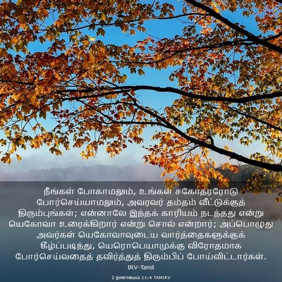 Picture 03 - 2 நாளாகமம் 11:4 TAMIRV - நீங்கள் - Bible Verse Picture