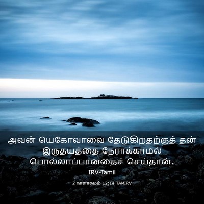 Picture 03 - 2 நாளாகமம் 12:14 TAMIRV - அவன் யெகோவாவை - Bible Verse Picture