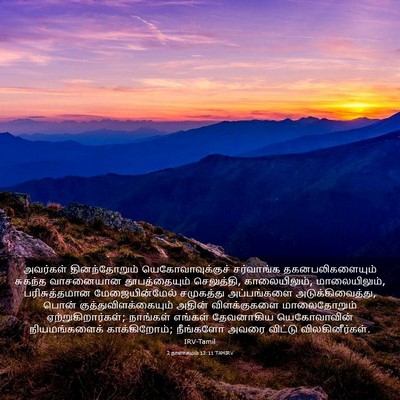 Picture 03 - 2 நாளாகமம் 13:11 TAMIRV - அவர்கள் - Bible Verse Picture