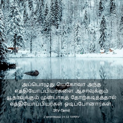 Picture 03 - 2 நாளாகமம் 14:12 TAMIRV - அப்பொழுது யெகோவா - Bible Verse Picture