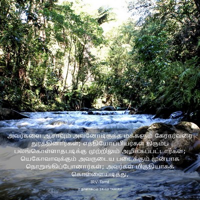 Picture 03 - 2 நாளாகமம் 14:13 TAMIRV - அவர்களை ஆசாவும் - Bible Verse Picture