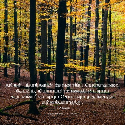 Picture 03 - 2 நாளாகமம் 14:4 TAMIRV - தங்கள் - Bible Verse Picture