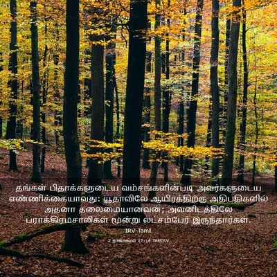 Picture 03 - 2 நாளாகமம் 17:14 TAMIRV - தங்கள் - Bible Verse Picture
