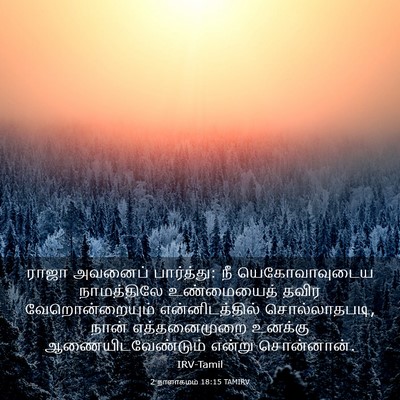 Picture 03 - 2 நாளாகமம் 18:15 TAMIRV - ராஜா அவனைப் - Bible Verse Picture