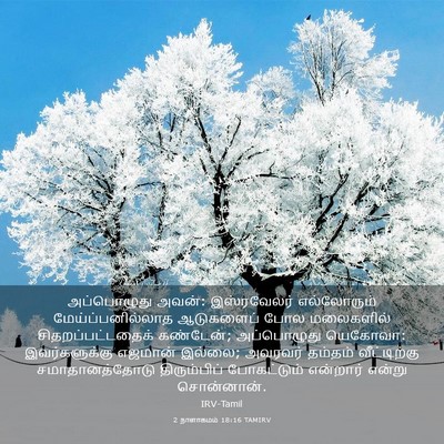 Picture 03 - 2 நாளாகமம் 18:16 TAMIRV - அப்பொழுது அவன்: - Bible Verse Picture
