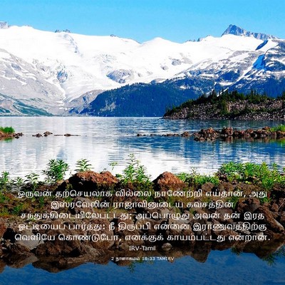Picture 03 - 2 நாளாகமம் 18:33 TAMIRV - ஒருவன் தற்செயலாக - Bible Verse Picture