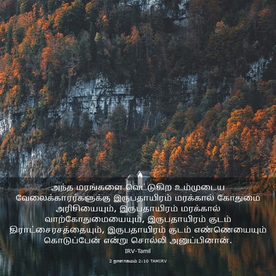 Picture 03 - 2 நாளாகமம் 2:10 TAMIRV - அந்த மரங்களை - Bible Verse Picture