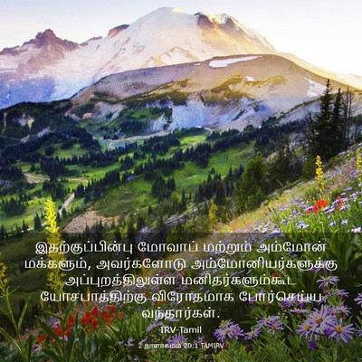Picture 03 - 2 நாளாகமம் 20:1 TAMIRV - இதற்குப்பின்பு - Bible Verse Picture