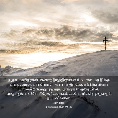 Picture 03 - 2 நாளாகமம் 20:24 TAMIRV - யூதா மனிதர்கள் - Bible Verse Picture