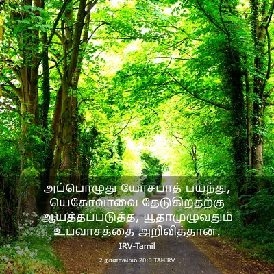 Picture 03 - 2 நாளாகமம் 20:3 TAMIRV - அப்பொழுது யோசபாத் - Bible Verse Picture