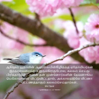 Picture 03 - 2 நாளாகமம் 21:10 TAMIRV - ஆகிலும் யூதாவின் - Bible Verse Picture