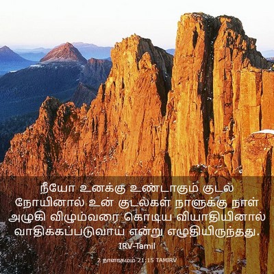 Picture 03 - 2 நாளாகமம் 21:15 TAMIRV - நீயோ உனக்கு - Bible Verse Picture