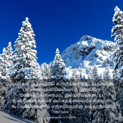 Picture 03 - 2 நாளாகமம் 23:2 TAMIRV - அவர்கள் யூதாவிலே - Bible Verse Picture