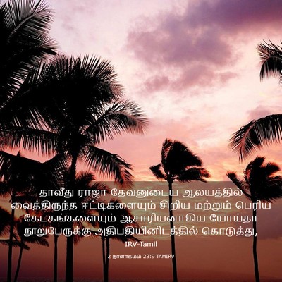 Picture 03 - 2 நாளாகமம் 23:9 TAMIRV - தாவீது ராஜா - Bible Verse Picture