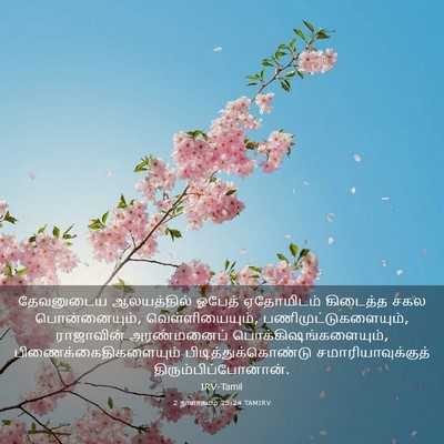 Picture 03 - 2 நாளாகமம் 25:24 TAMIRV - தேவனுடைய - Bible Verse Picture