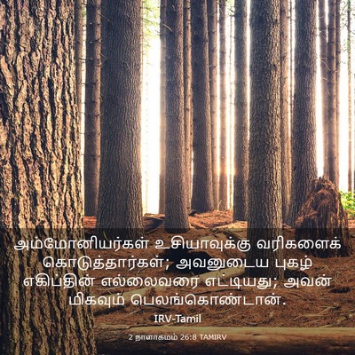 Picture 03 - 2 நாளாகமம் 26:8 TAMIRV - அம்மோனியர்கள் - Bible Verse Picture