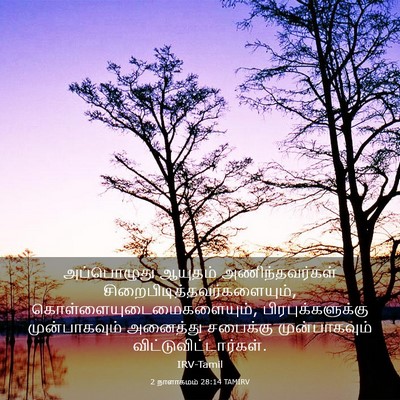 Picture 03 - 2 நாளாகமம் 28:14 TAMIRV - அப்பொழுது ஆயுதம் - Bible Verse Picture