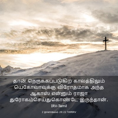 Picture 03 - 2 நாளாகமம் 28:22 TAMIRV - தான் - Bible Verse Picture