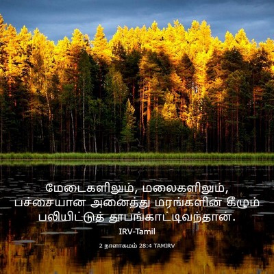 Picture 03 - 2 நாளாகமம் 28:4 TAMIRV - மேடைகளிலும், - Bible Verse Picture