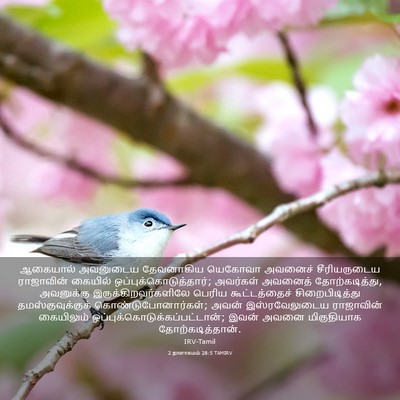 Picture 03 - 2 நாளாகமம் 28:5 TAMIRV - ஆகையால் அவனுடைய - Bible Verse Picture