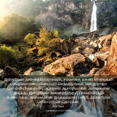 Picture 03 - 2 நாளாகமம் 29:24 TAMIRV - இஸ்ரவேல் - Bible Verse Picture