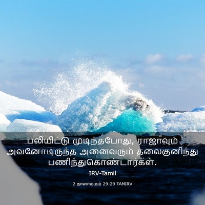 Picture 03 - 2 நாளாகமம் 29:29 TAMIRV - பலியிட்டு - Bible Verse Picture