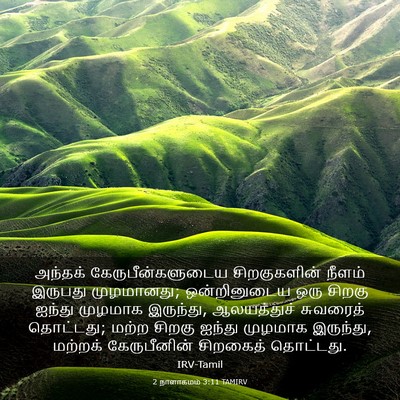Picture 03 - 2 நாளாகமம் 3:11 TAMIRV - அந்தக் - Bible Verse Picture