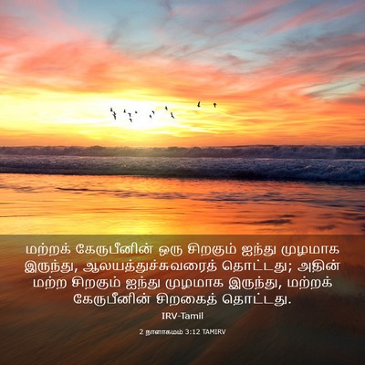 Picture 03 - 2 நாளாகமம் 3:12 TAMIRV - மற்றக் கேருபீனின் - Bible Verse Picture