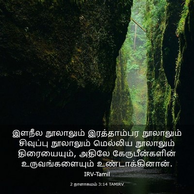 Picture 03 - 2 நாளாகமம் 3:14 TAMIRV - இளநீல நூலாலும் - Bible Verse Picture